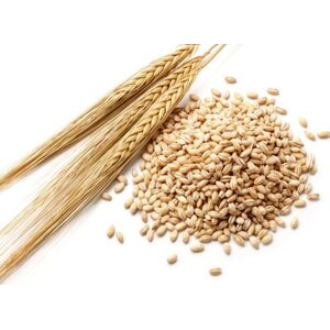 Grains, Malt and Barley