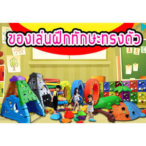 ของเล่นฝึกการทรงตัว+ปีนป่าย