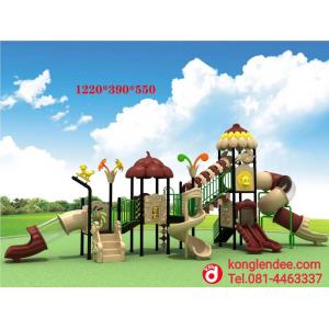 เครื่องเล่นสนาม ชุดมังกี้แฟมมิลี่