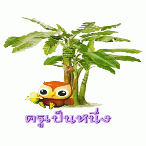 นานาสาระ