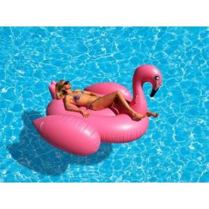 แพยางนกฟลามิงโก้