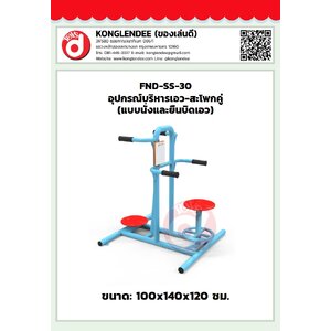 เครื่องออกกำลังกายบริห่รเอว-สะโพกคู่(แบบนั่งและยืนบิดเอว)