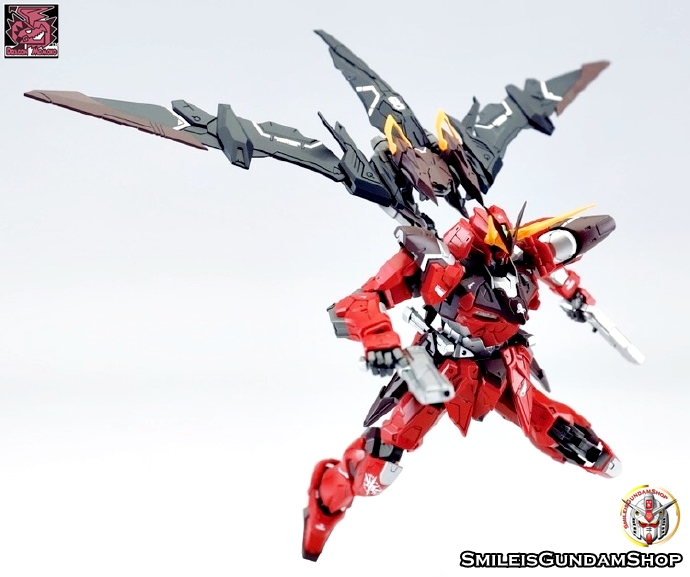 [PO]MG 1/100 ZGMF-X12A Testament[โมจีนMomoko]