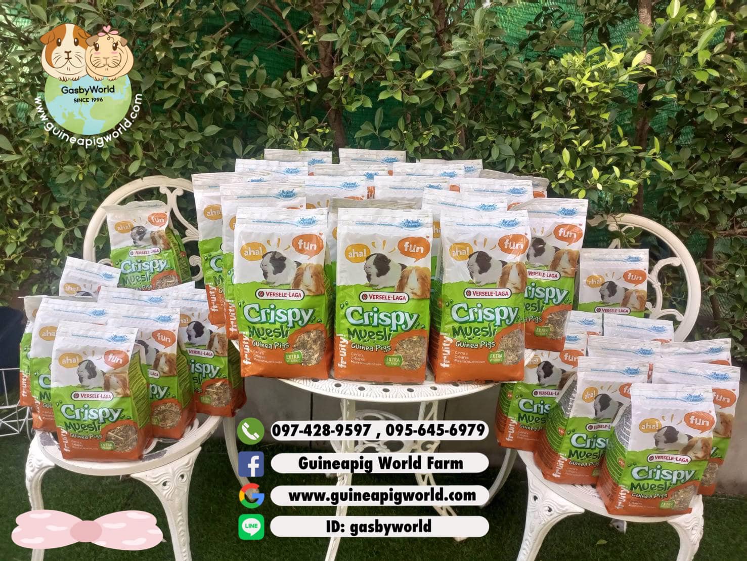 Crispy Muesli Guinea Pigs <<อาหารแกสบี้รสชาติแสนอร่อย อุดมด้วยไฟเบอร์สูง สูตรมูสลี่กรุบกรอบ เต็มอิ่มกับหญ้าไฟเบอร์สูงรสชาติหอมอร่อยแบบเต็มๆ ธัญพืชอบกรอบนานาชนิด เติมเต็มกับรสชาติแสนอร่อยจากผักผลไม้สดหลากหลายชนิด