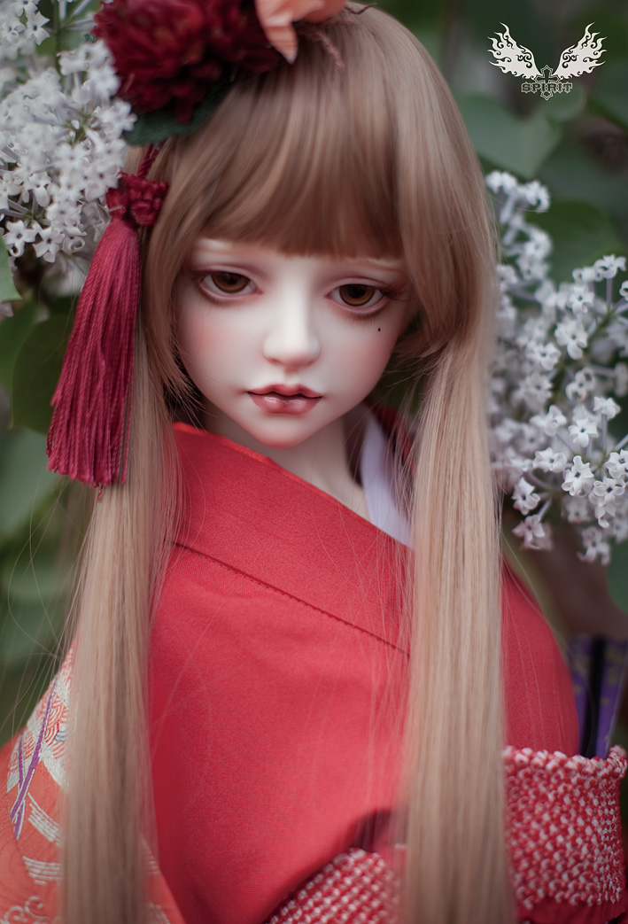 Camellia