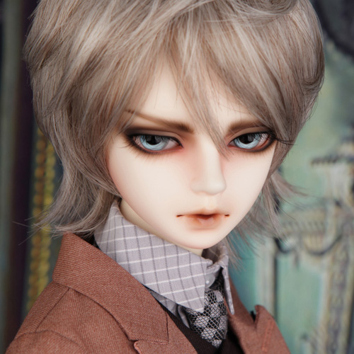 Senior Delf TERRA
