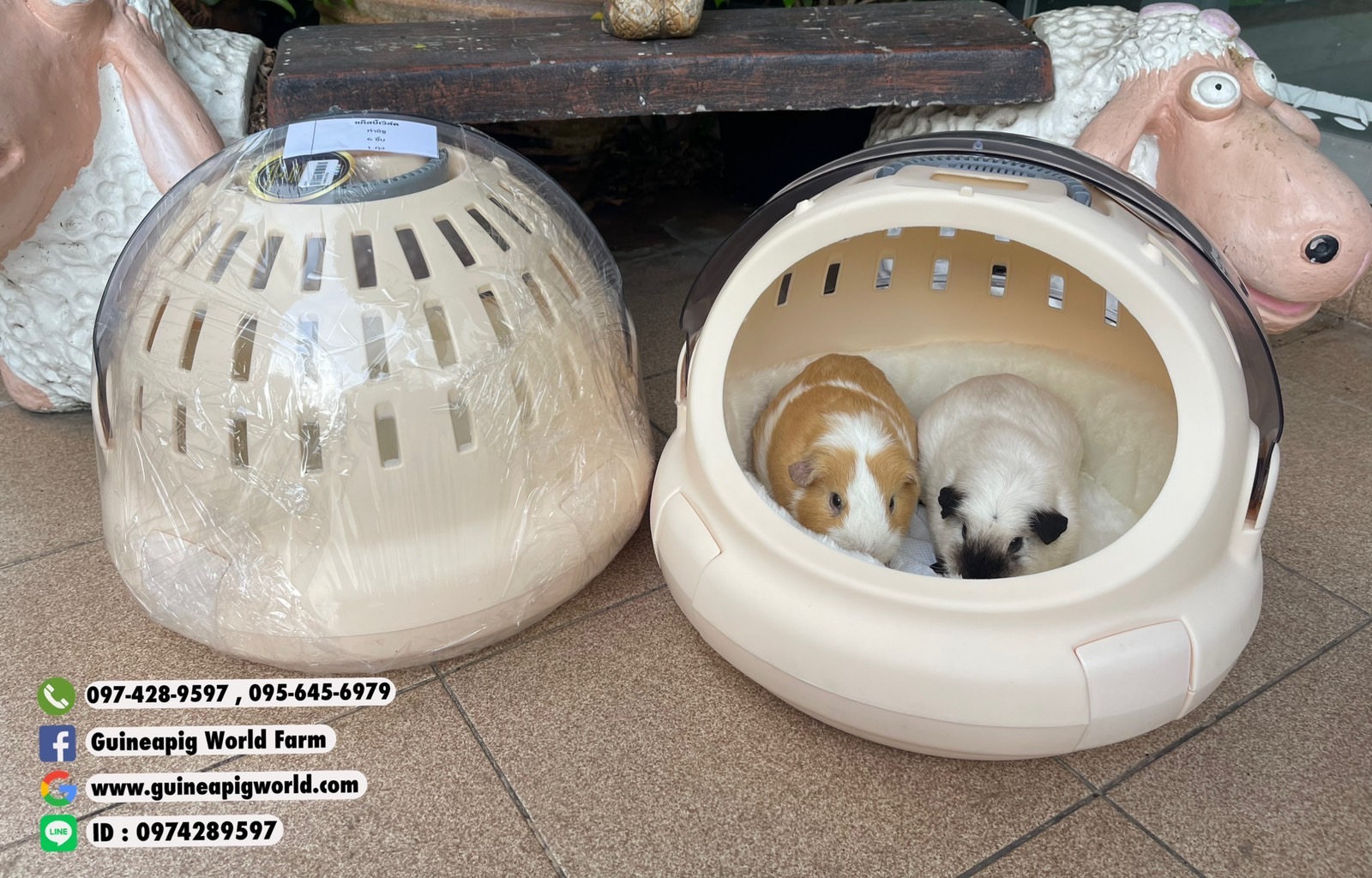 กระเป๋าอวกาศแบบพกพา Size:42x42x35cm.น้ำหนักเบา มีเบาะผ้าขนนุ่มๆให้ด้วยค่ะ ใส่น้องแกสบี้ตัวโตเต็มวัยมีที่เหลือๆ,ใส่น้องเด็กได้สบาย