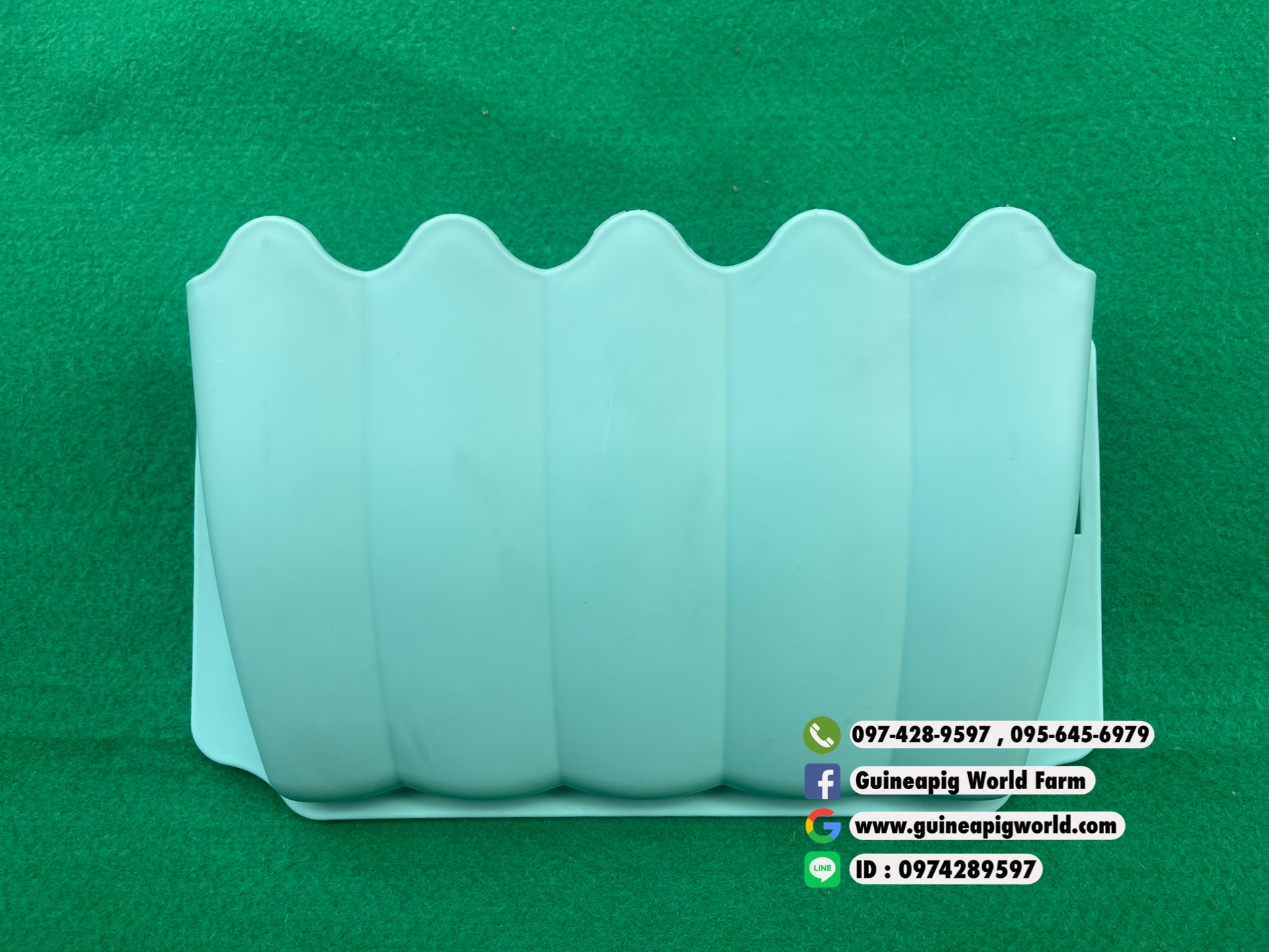 รางใส่หญ้าพลาสติคนำเข้าเกี่ยวข้างกรง,รั้วตระแกรง,ขนาด ก.25xล.6xส.16 ซม.มีสีฟ้า,ชมพู,เขียว เหมาะสำหรับสัตว์เล็กค่ะ