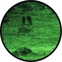 New..Yukon 3x42 NVMT Spartan Night Vision Riflescope Kit