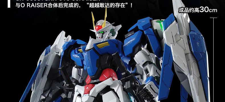 [PO]PG 1/60 OO Raiser [โมจีนTT]