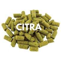 Citra US Hop Pellets T-90