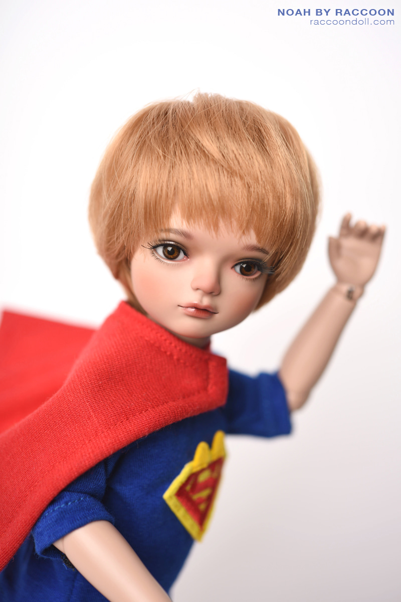 Super Raccoon_Noah