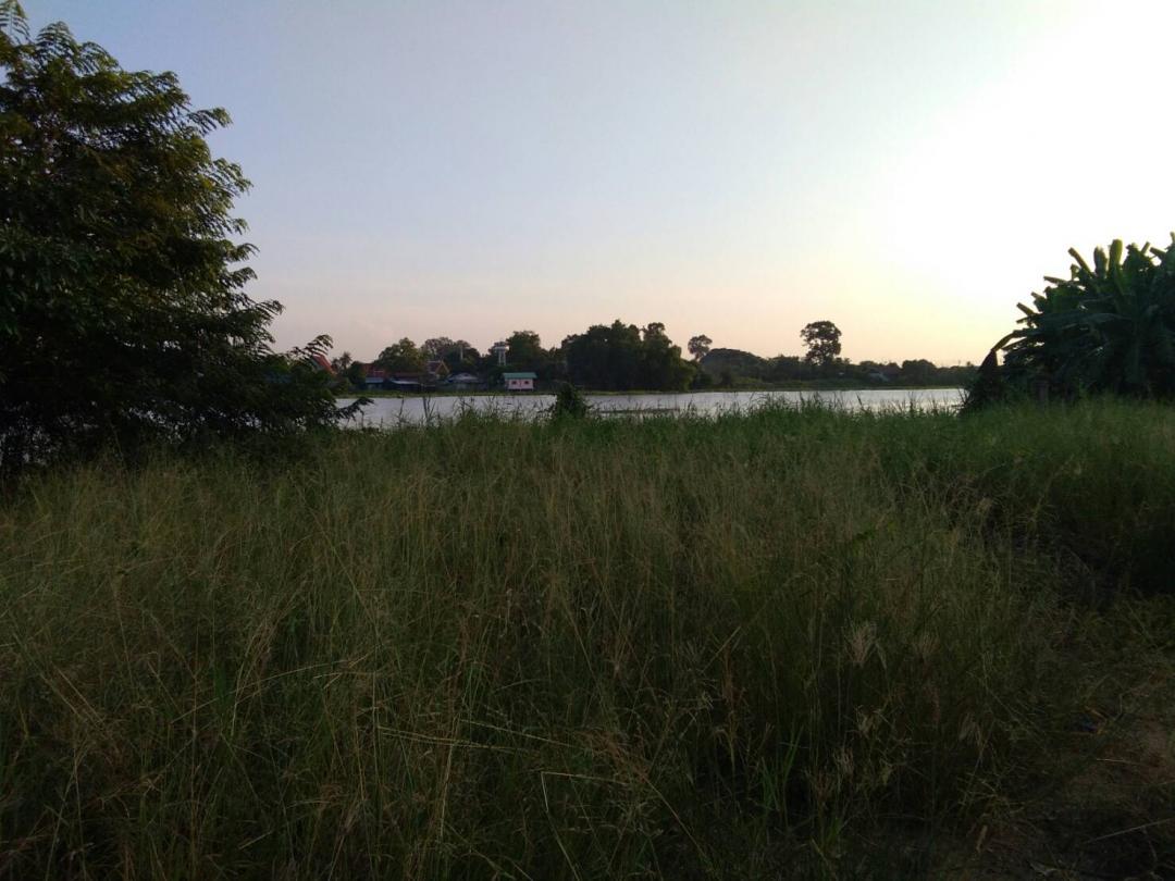 ขายด่วนที่ดินริมแม่น้ำเจ้าพระยาชัยนาท ที่ดินริมแม่น้ำชัยนาท ที่ดินริมน้ำวัดพระยาตากชัยนาท ที่ดินเมืองชัยนาท ที่ดินชัยนาท