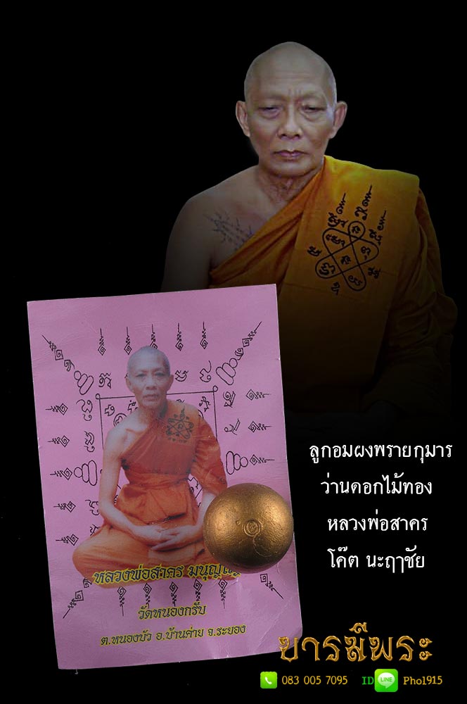 ลูกอมผงพรายกุมารว่านดอกไม้ทอง หลวงพ่อสาคร โค๊ต นะฤาชัย ไตรมาส51 เนื้อเหลืองว่านดอกไม้ทอง เป็นเนื้อเดียวกับขุนแผนในชุดกรรมการ) เม็ดใหญ่ทาทอง