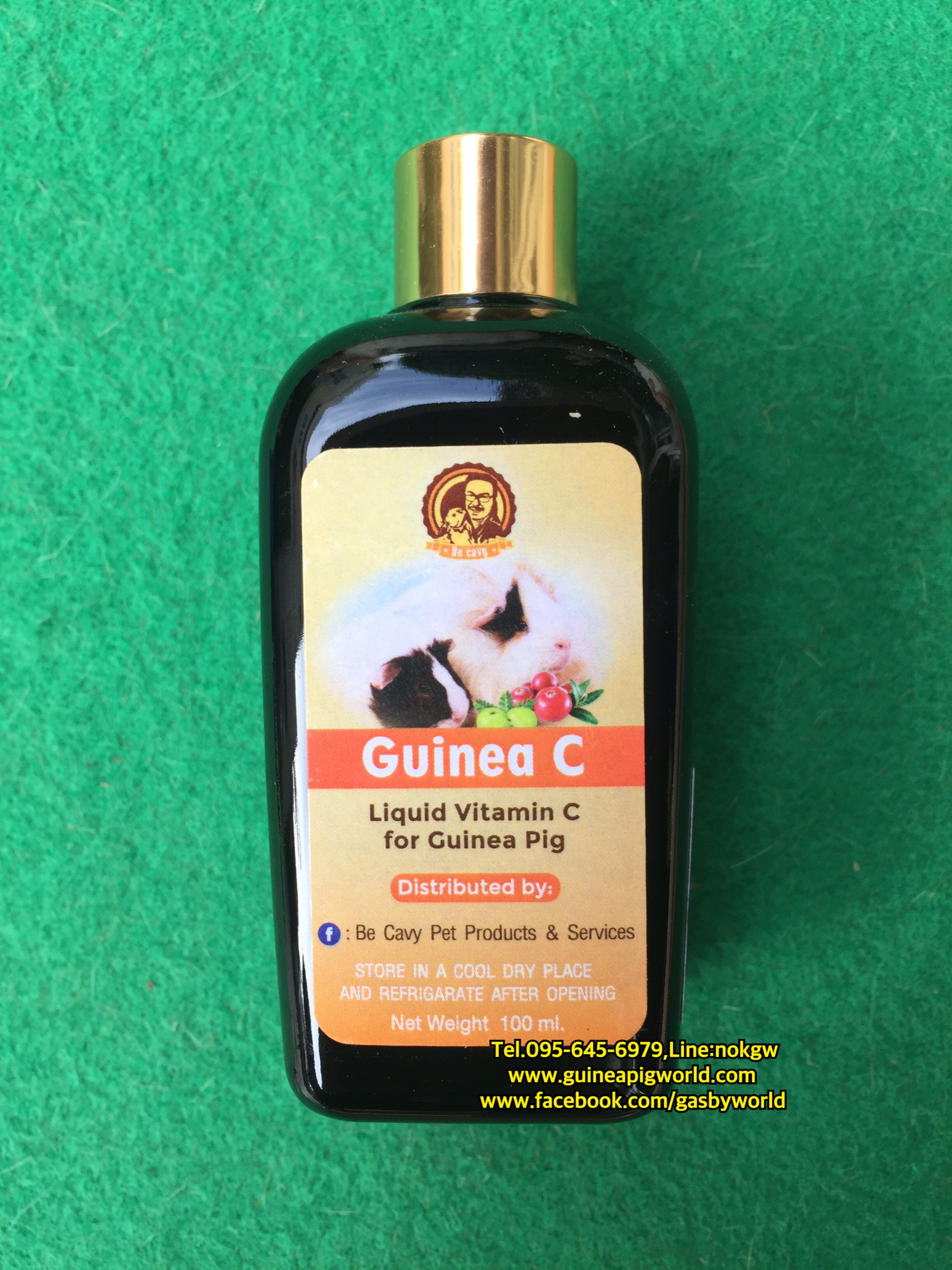 Guinea C บรรจุ100 ml. วิตามินซีชนิดน้ำสำหรับแกสบี้