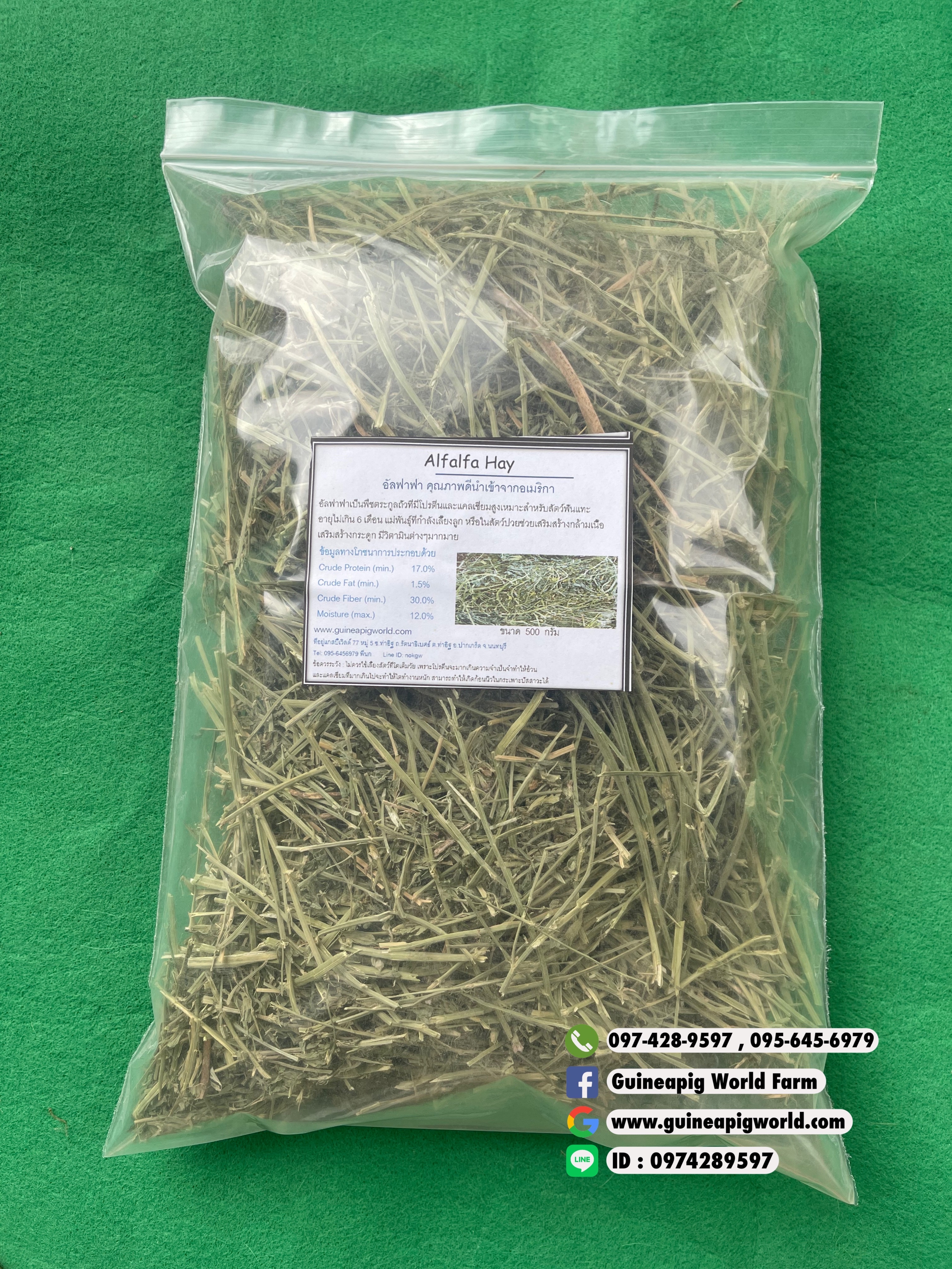 หญ้าอัลฟาฟ่านำเข้าเกรดพรีเมี่ยม 500g.สำหรับแกสบี้ และสัตว์ฟันแทะ ช่วงแรกเกิดถึงอายุ 6 เดือน หรือแม่เลี้ยงลูก