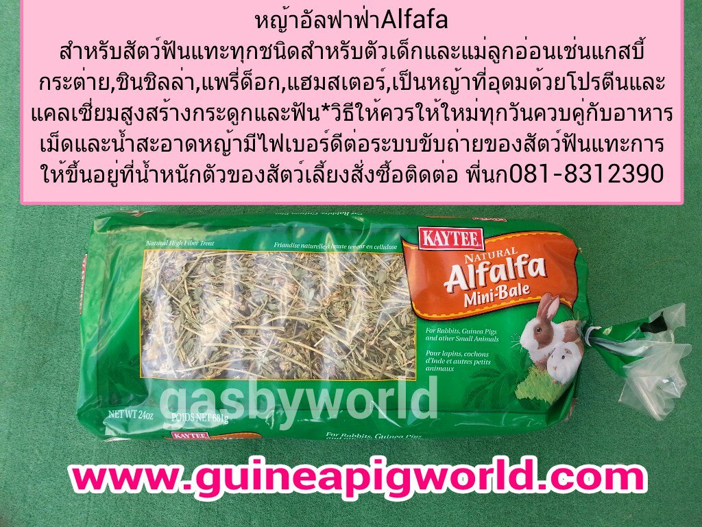 หญ้าอัลฟาฟ่า Kaytee Alfalfa 24oz.