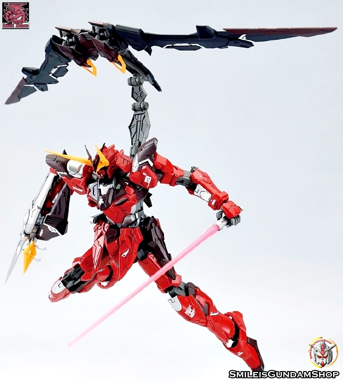[PO]MG 1/100 ZGMF-X12A Testament[โมจีนMomoko]