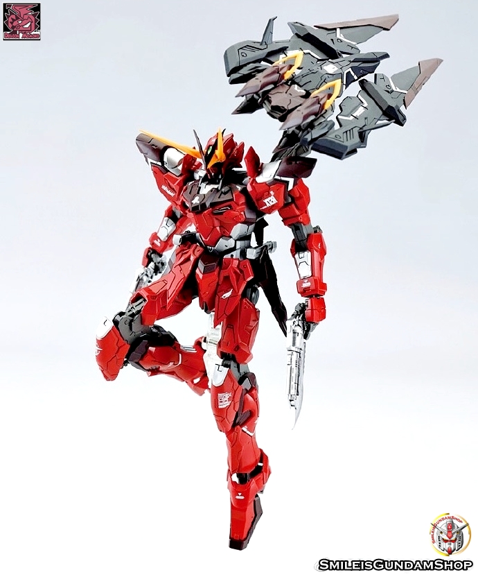 [PO]MG 1/100 ZGMF-X12A Testament[โมจีนMomoko]