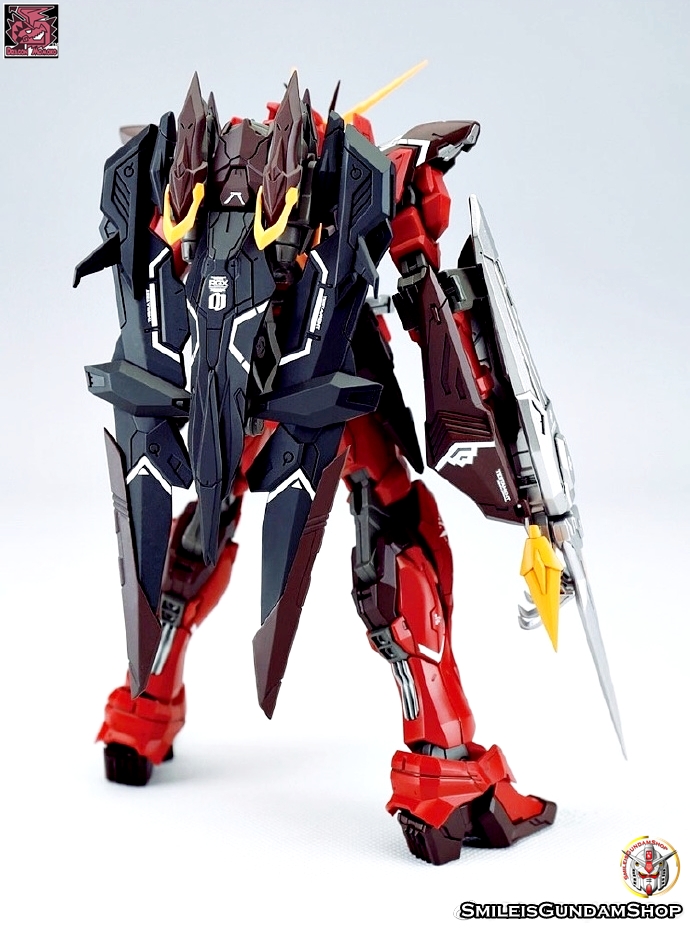 [PO]MG 1/100 ZGMF-X12A Testament[โมจีนMomoko]