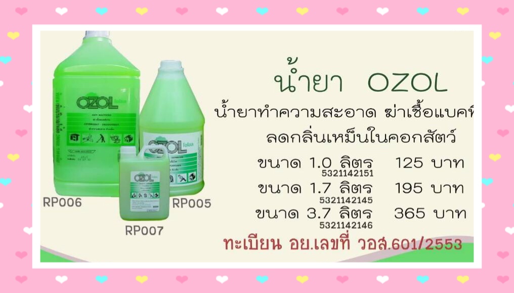OZOL 1,000ml.ใช้ฆ่าเชื้อแบคทีเรีย ทำความอะอาด ดับกลิ่น เครื่องสุขภัณฑ์ และกรงสัตว์เลี้ยง