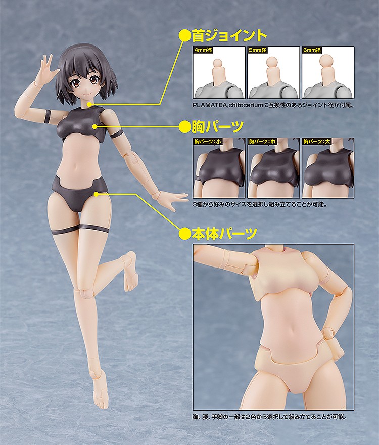 เปิดจอง : PLAMATEA Muse Body: Ichika A Type