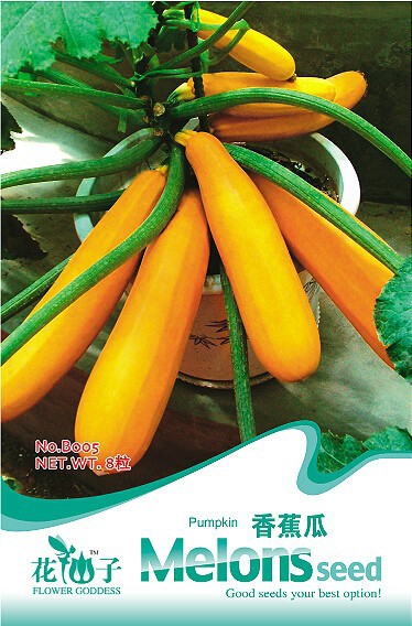 แตงซูกินี (สีทอง) F1 ซองดั่งเดิม