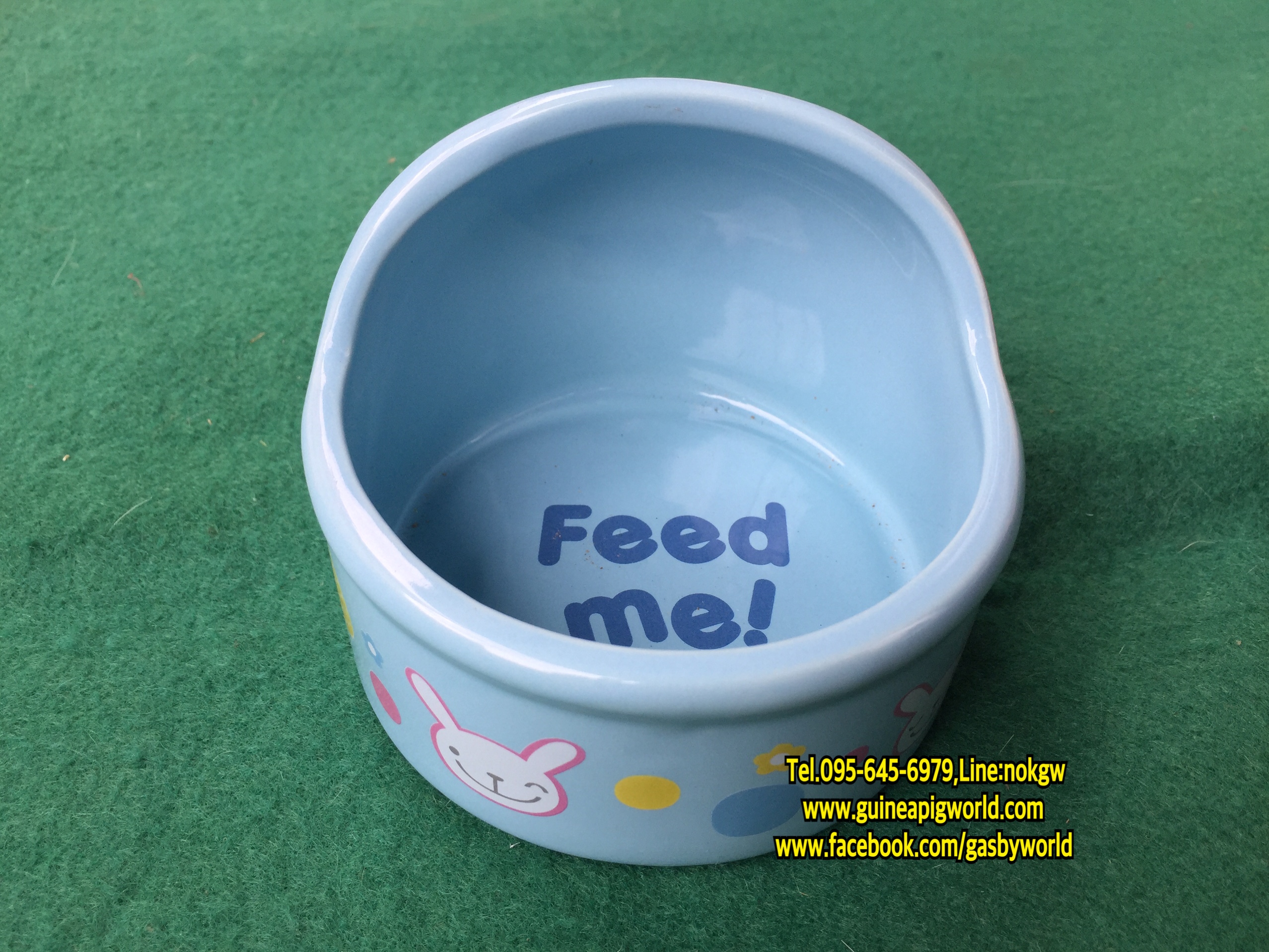 ชามเซรามิคนำเข้ามีหมวกคลุมครึ่งชาม(เส้นผ่าศูนย์กลาง11xh.5cm.) สกรีนลายน่ารัก,เนื้อเซรามิคอย่างดี