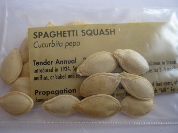 ฟักทอง สปาเก็ตตี้