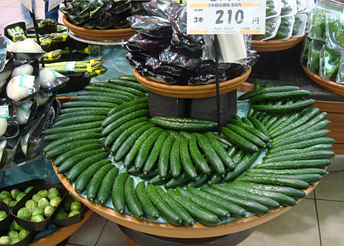 แตงกวาญี่ปุ่น (Japanese Cucumber)