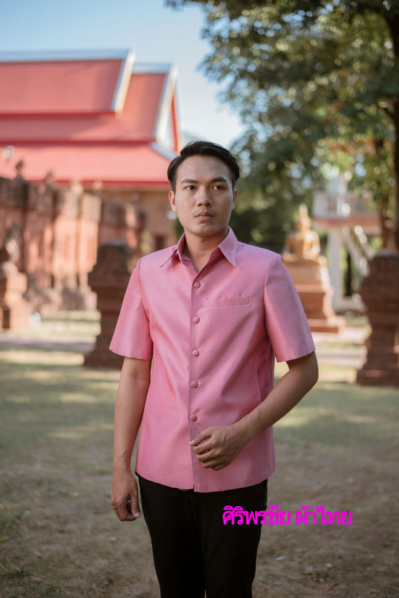 เสื้อสูทชายไหมแพรทิพย์สีชมพู เสื้อสูทชายไหมประดิษฐ์สีชมพู สูทผ้าไทยชาย ซาฟารีผ้าไทยชาย สูทผ้าไหมแพรทิพย์สีชมพู,สูทผ้าไทยสีชมพู ซาฟารีชายสีชมพู สีชมพู M