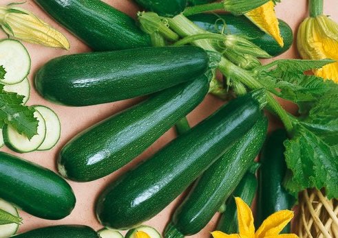 ซูกินี่ เขียวมรกต (Black Beauty Zucchini Squash)