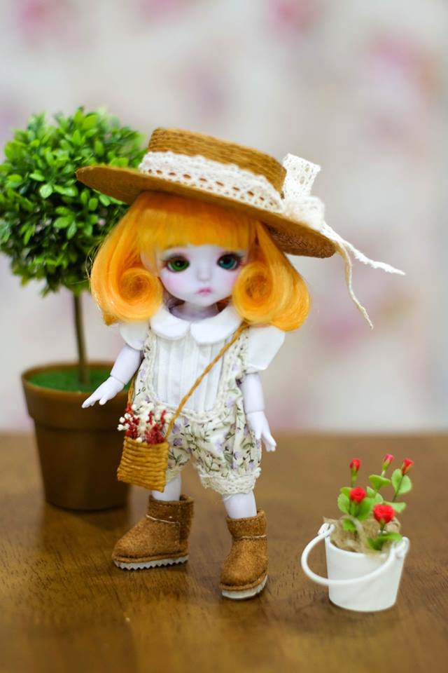 SET lavender farm
