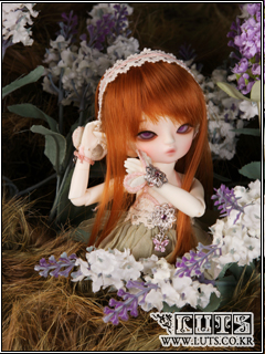 TDW-11 (Carrot)