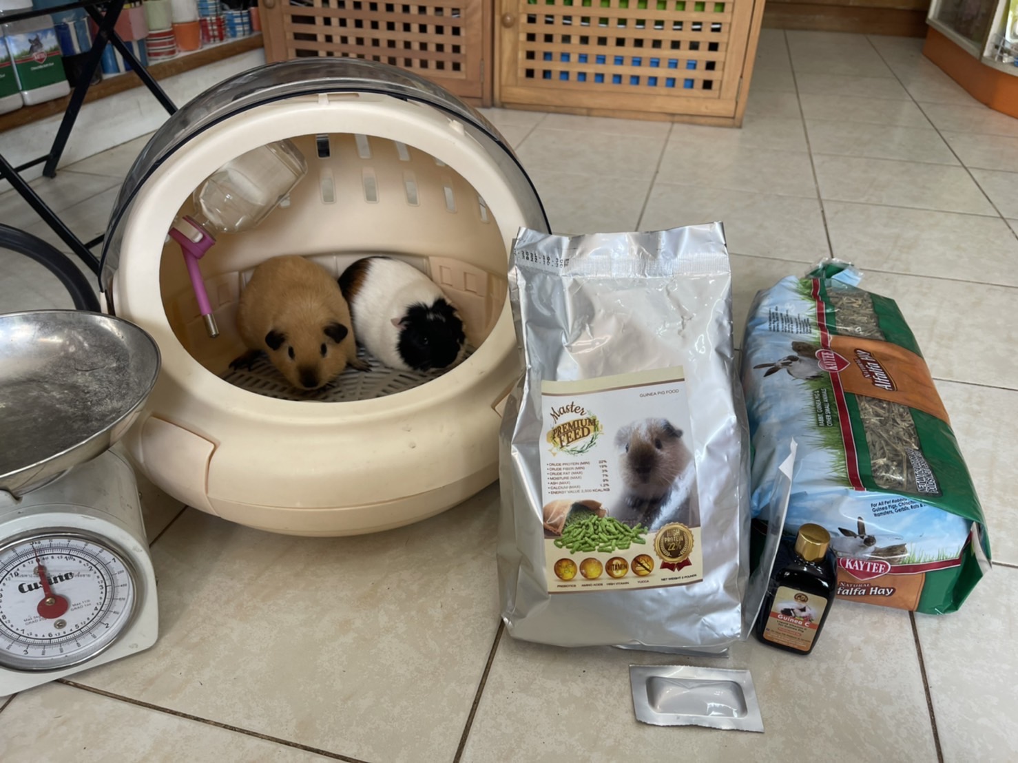 กระเป๋าอวกาศแบบพกพา Size:42x42x35cm.น้ำหนักเบา มีเบาะผ้าขนนุ่มๆให้ด้วยค่ะ ใส่น้องแกสบี้ตัวโตเต็มวัยมีที่เหลือๆ,ใส่น้องเด็กได้สบาย