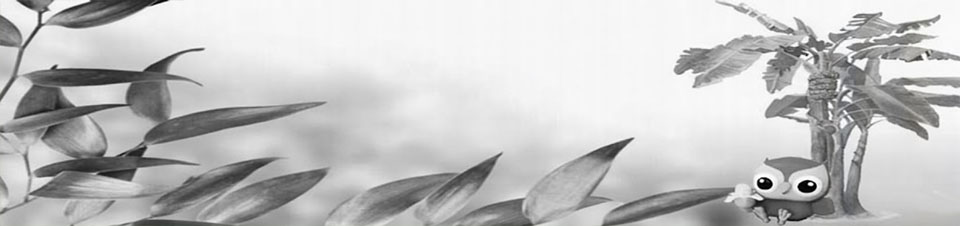 ครูเป็นหนึ่ง - ไม้แปลก หายาก