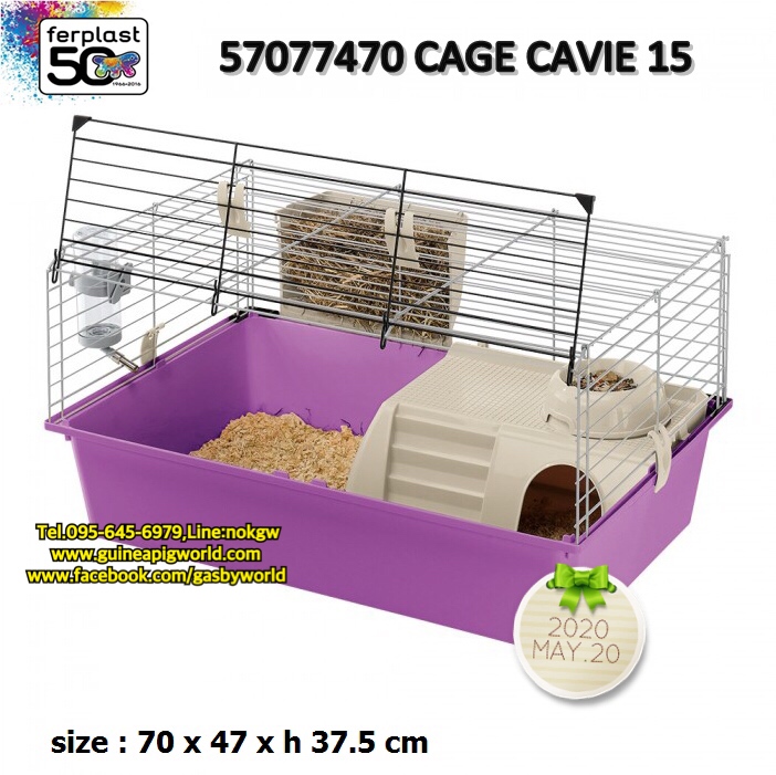 GageCavie15กรงFerplastนำเข้าพับได้(70x47xh.37.5cm.)พร้อมบ้านหลบซ่อน,รางใส่หญ้า,ชาม,ขวดน้ำ