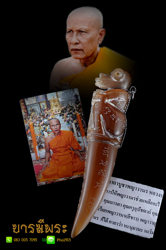 พญาวานร หลวงพ่ออนันต์ วัดบางพลีน้อย สมุทรปราการ เนื้อเขาควาย ขนาดใหญ่ สูง 14.5ซม. งานหลวงพ่อแกะมือ จารมือ สวยสมบูรณ์ พร้อมรูปและใบคาถา มีจำนวนน้อย