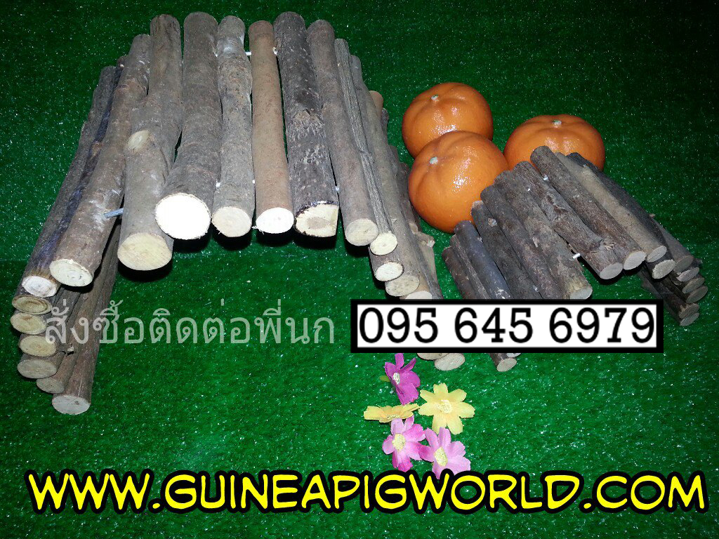 ไม้แอปเปิ้ลดัดโค้งหรือตรงได้ สำหรับสัตว์เล็ก