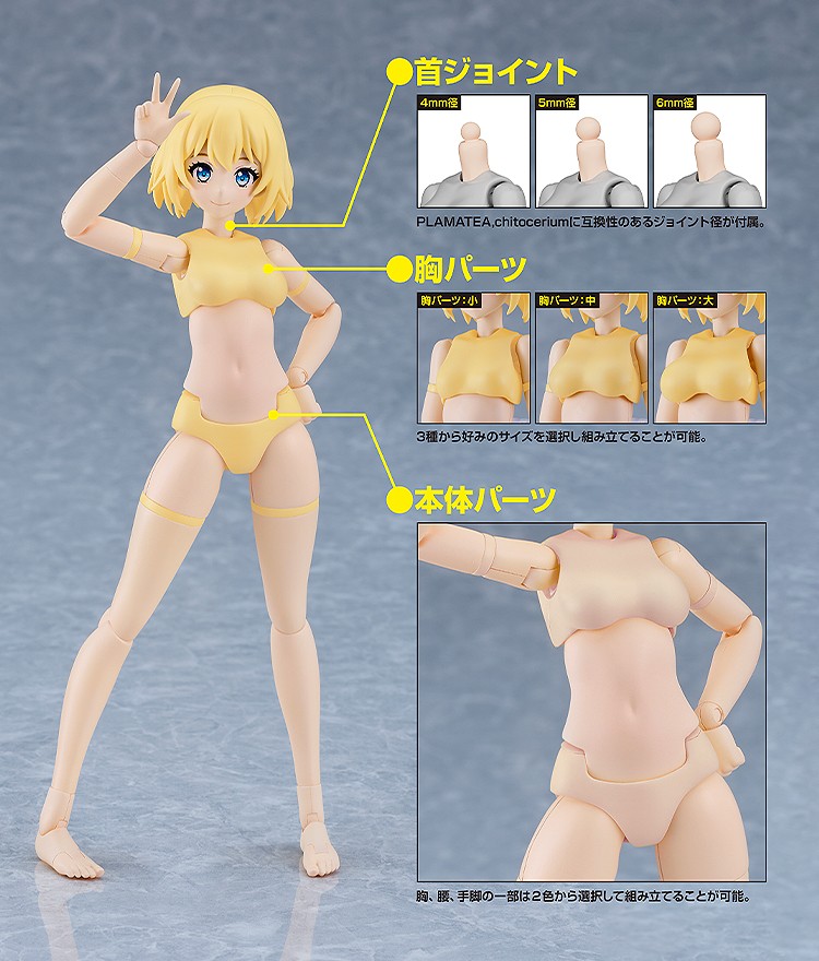 เปิดจอง : PLAMATEA Muse Body: Ichika B Type