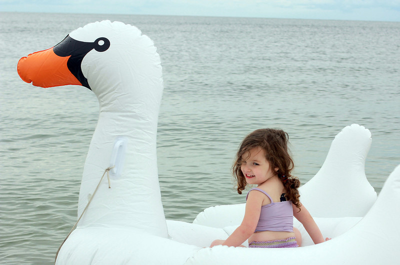 แพหงส์เป่าลม