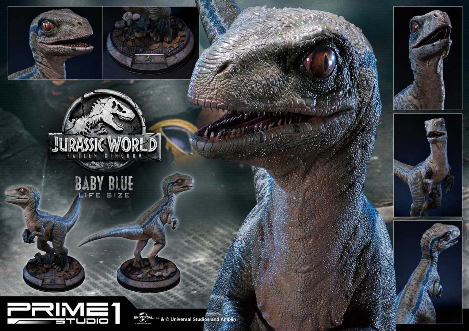 เปิดจอง Baby Blue: Jurassic World Fallen Kingdom