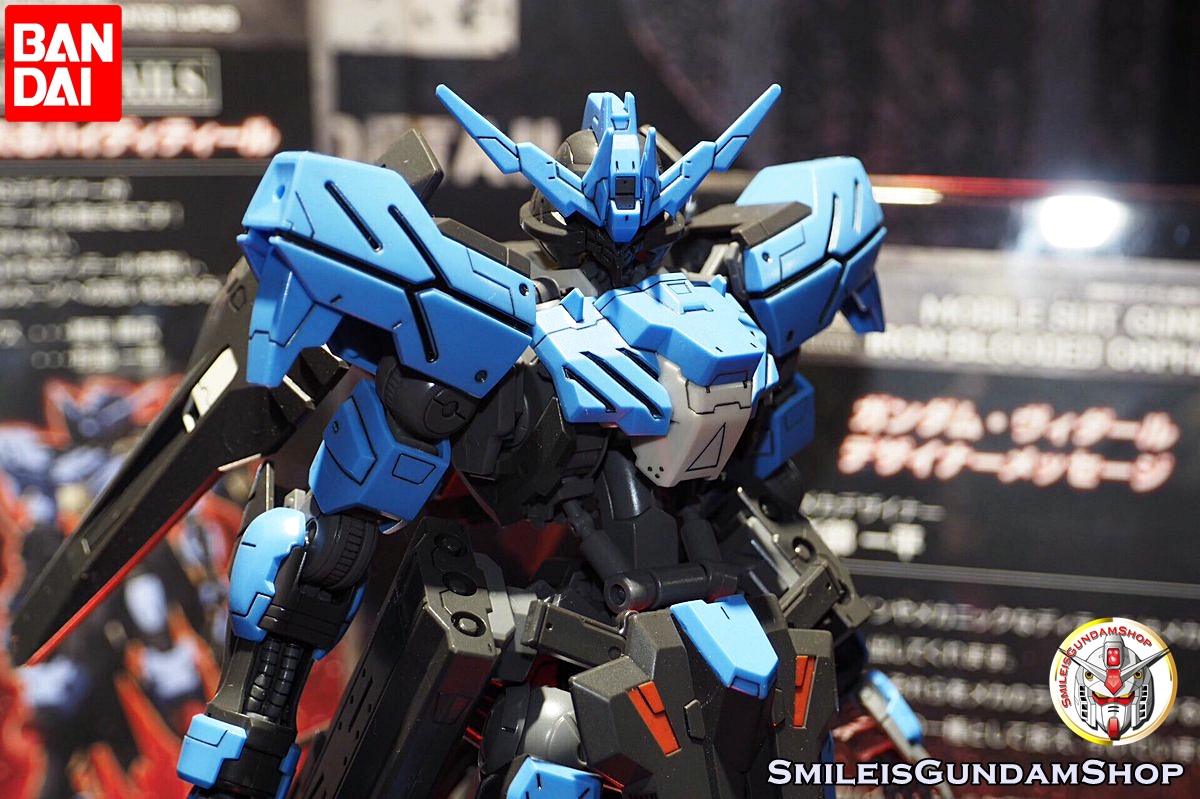 [PO]1/100 Full Mechanic Gundam Vidar[BANDAI]