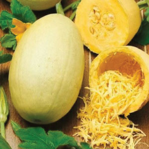 ฟักทอง สปาเก็ตตี้