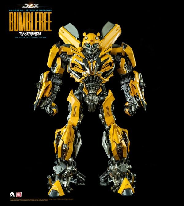เปิดจอง TLK Bumble bee
