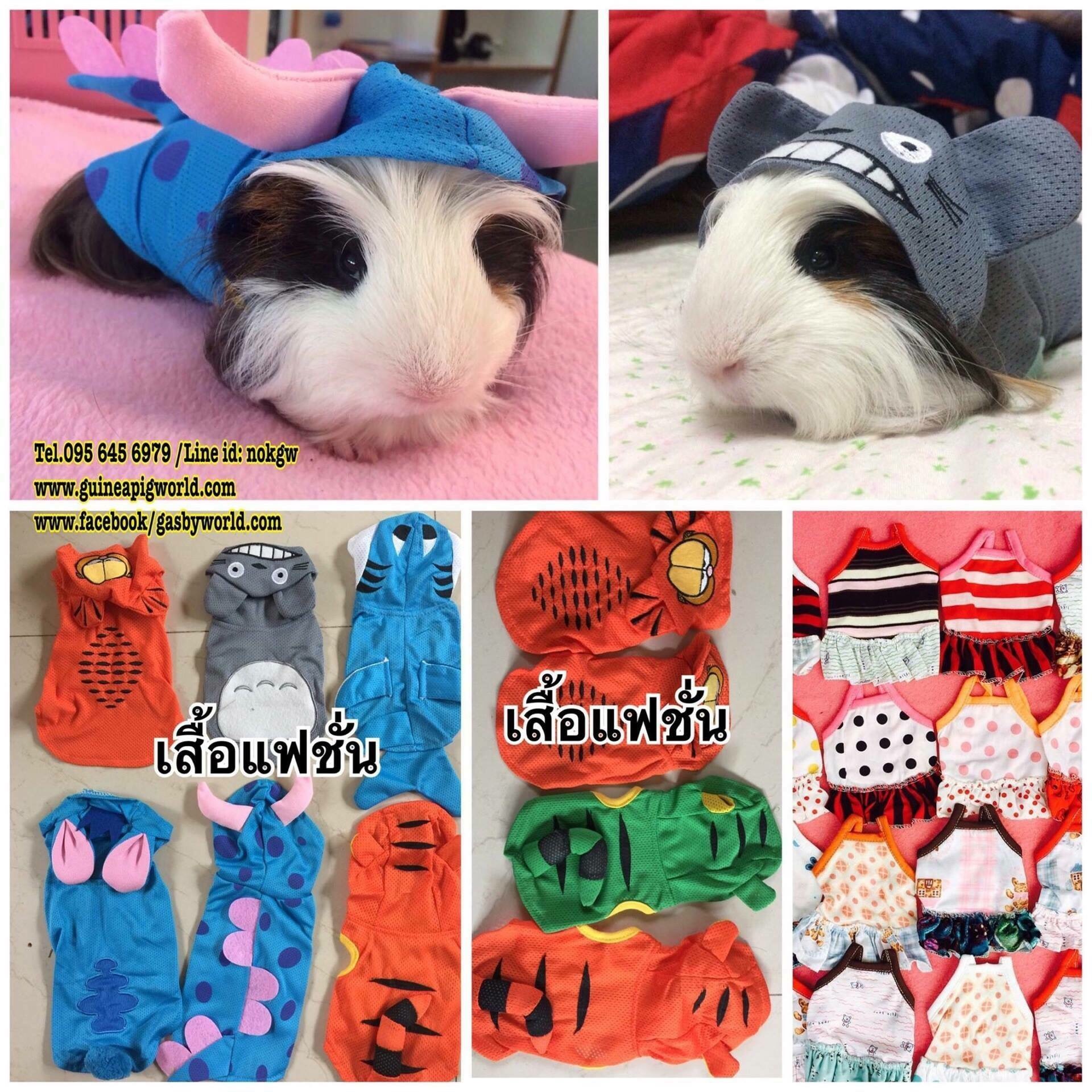 ชุดแฟชั่นมีฮู้ดนำเข้า เนื้อผ้าบางเบาโปร่งเป็นรูปสัตว์น่ารัก ๆ แบบต่าง ๆ ยอดนิยม