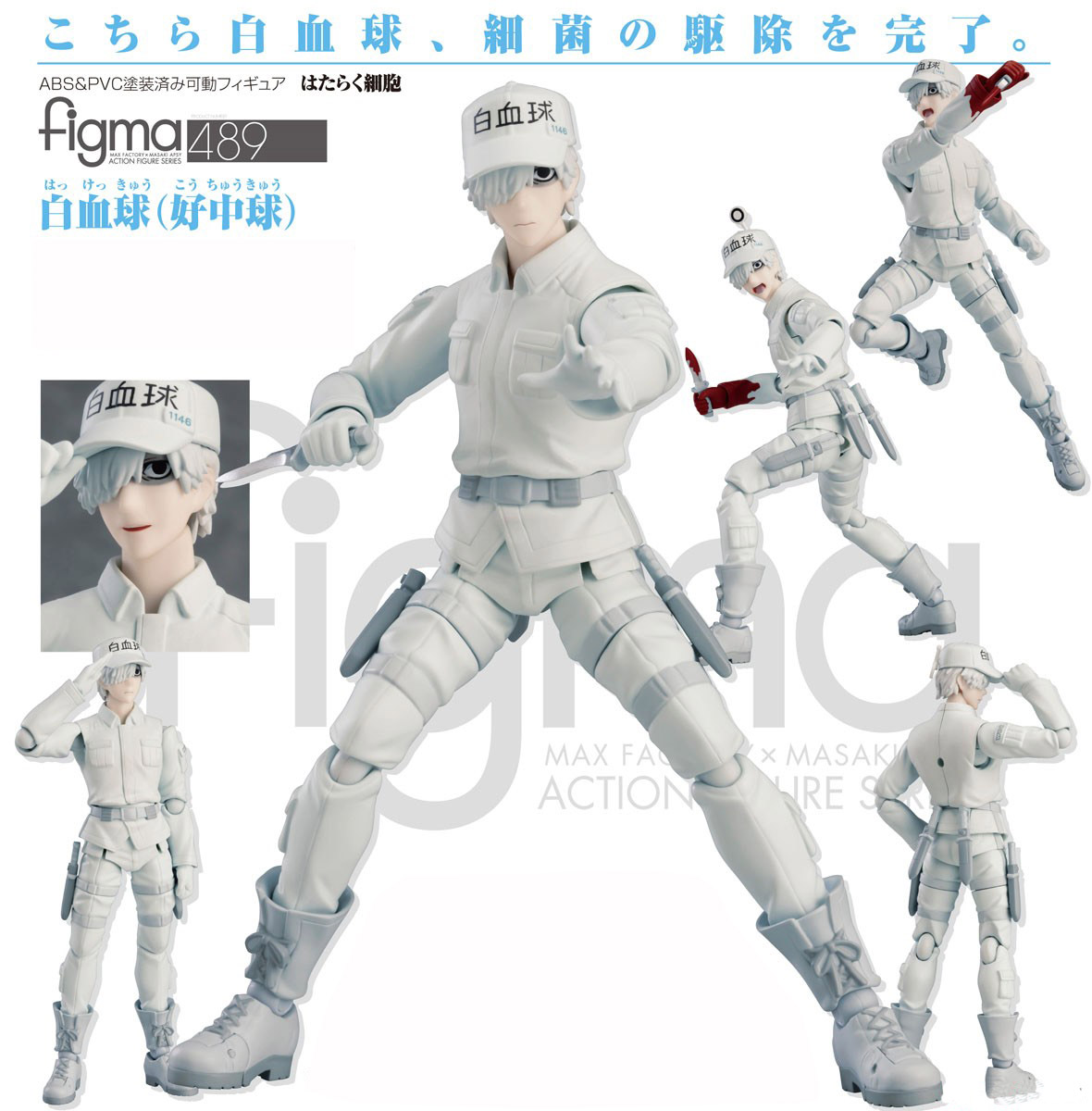 เปิดจอง figma White blood cell（Neutrophil)