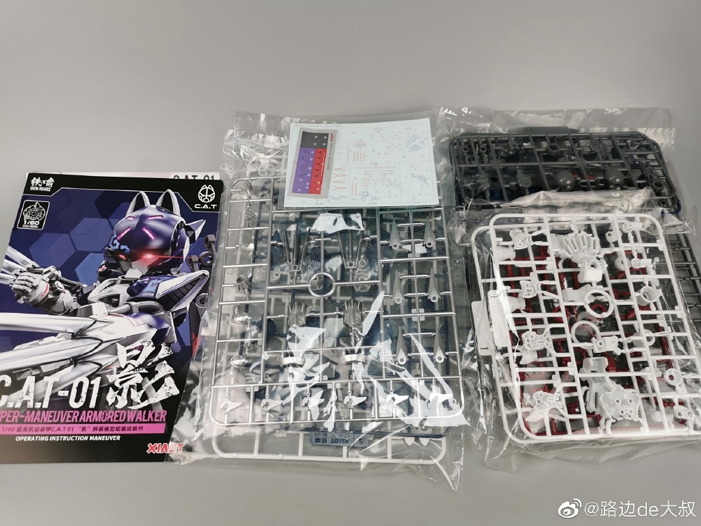 [PO]1/60 CAT-01[XIAOT]