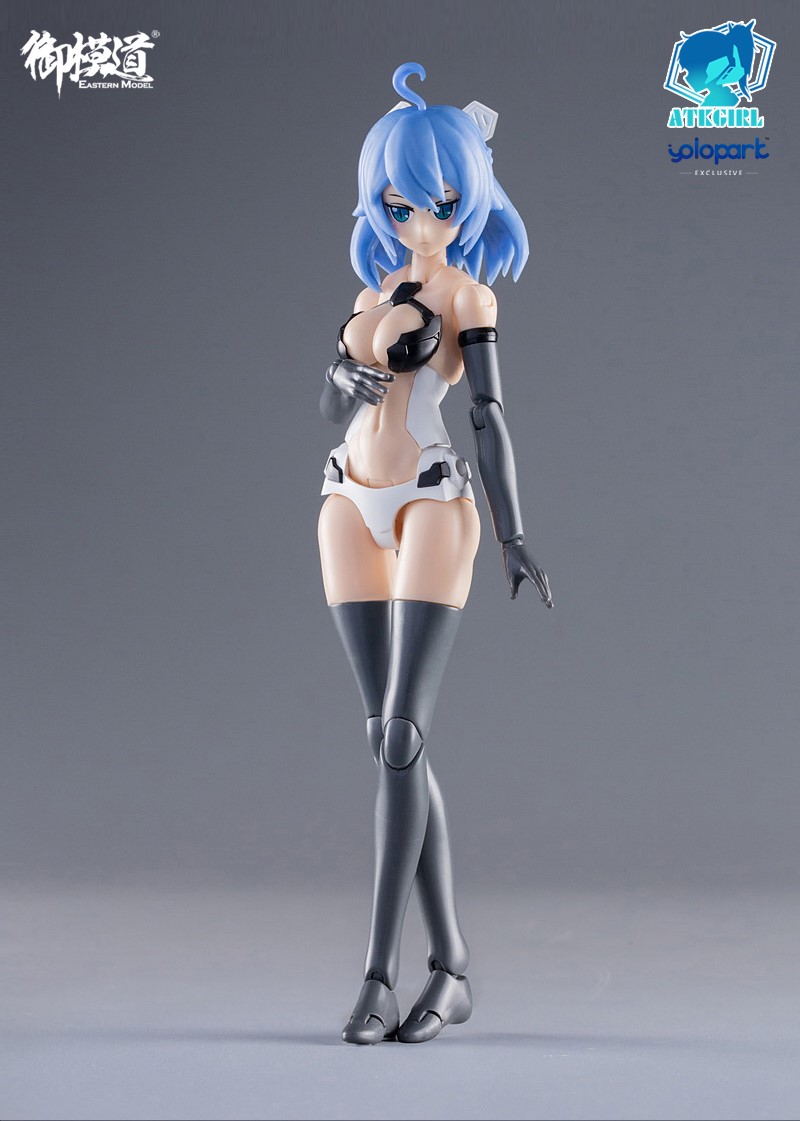 เปิดจอง : BAIHU aka White Tiger 1/12 Scale (Plastic Model Kit)