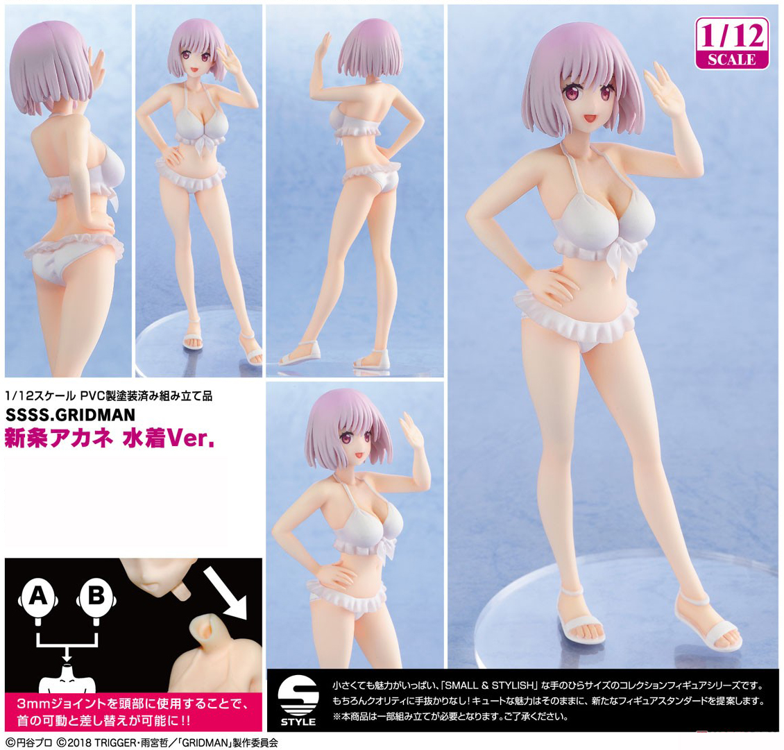 เปิดจอง Akane Shinjo: Swimsuit Ver.